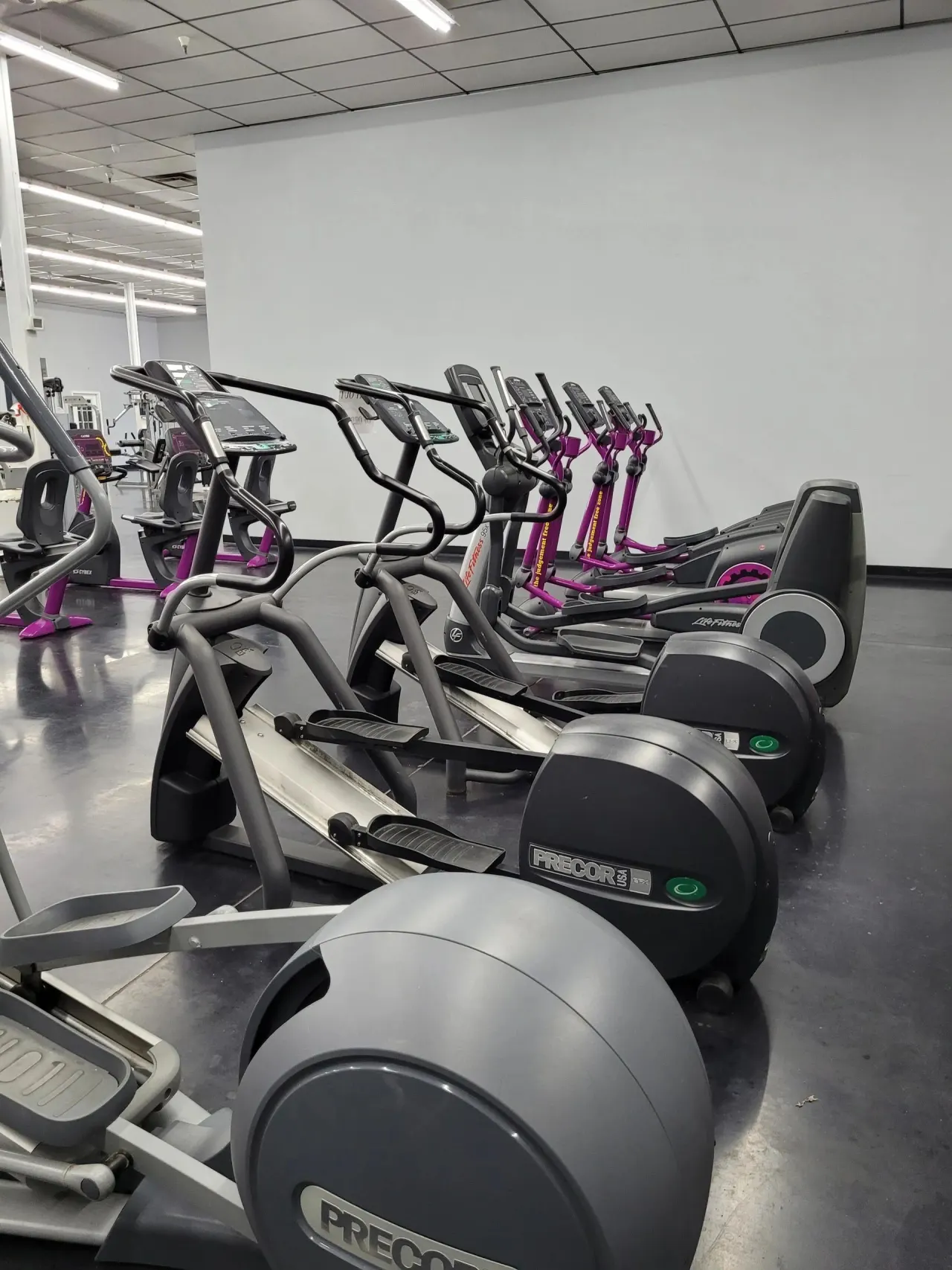 Cardio machines lined up across the gym floor